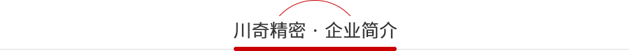 川(chuān)奇公司簡介 91视频在线公司簡介