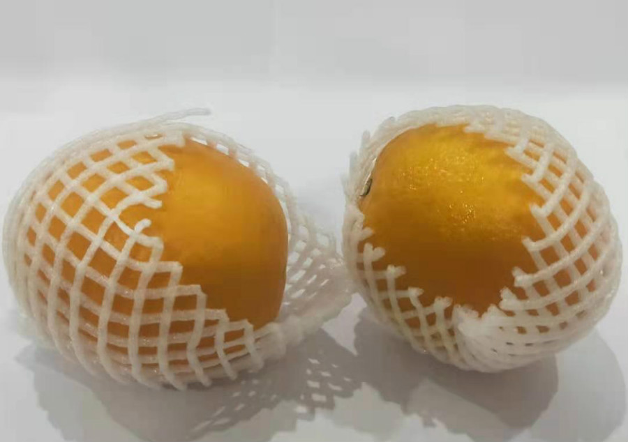 91视频在线精密