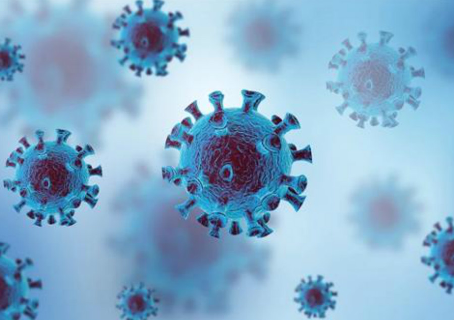 91视频在线精密 91视频在线精密